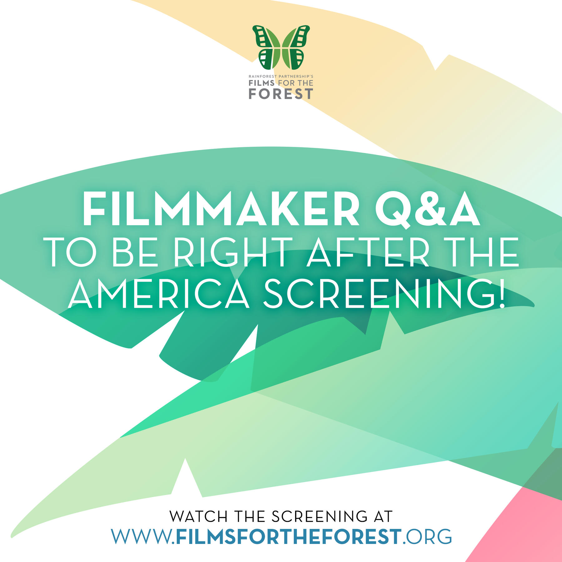 lowercase "kim chua"