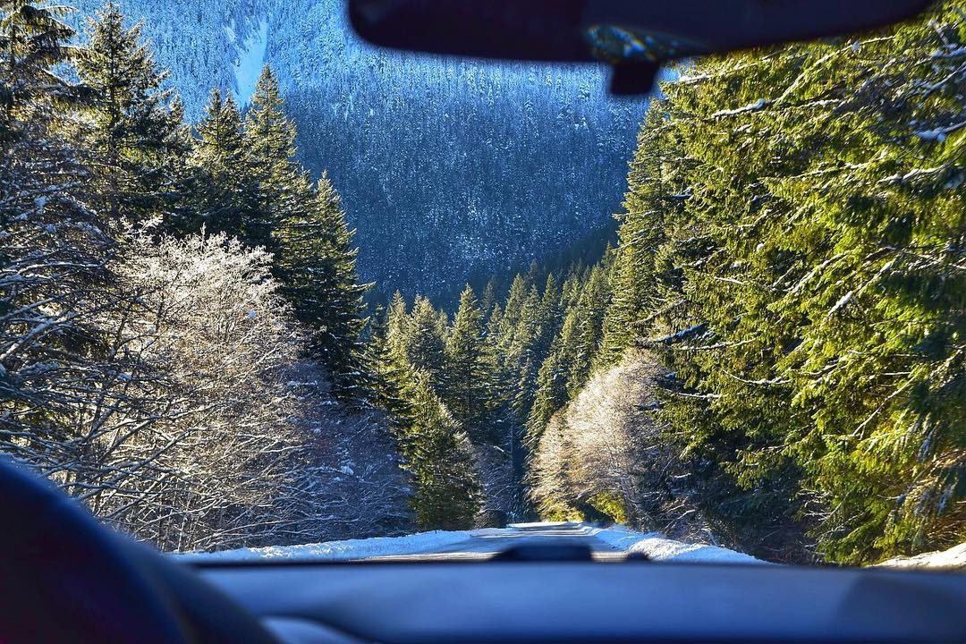 lowercase "kim chua"